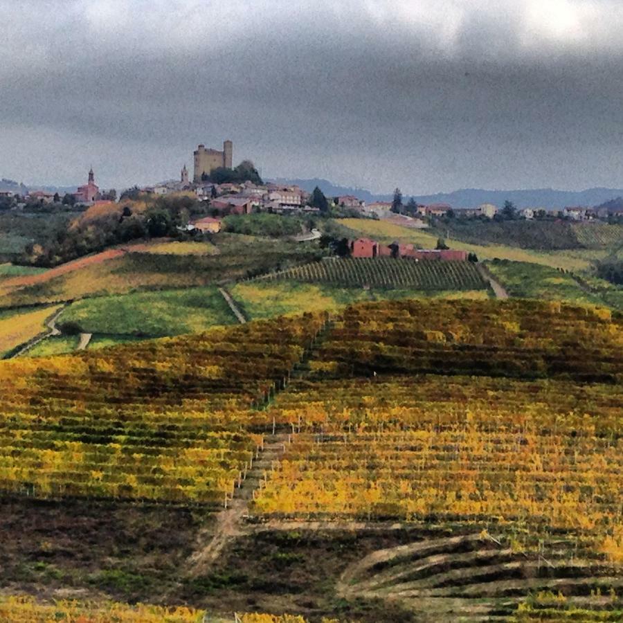Cascina Maina Villa Diano dʼAlba Eksteriør billede