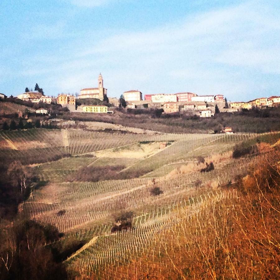 Cascina Maina Villa Diano dʼAlba Eksteriør billede