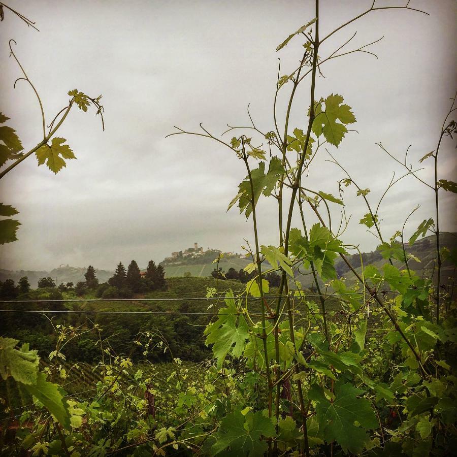 Cascina Maina Villa Diano dʼAlba Eksteriør billede